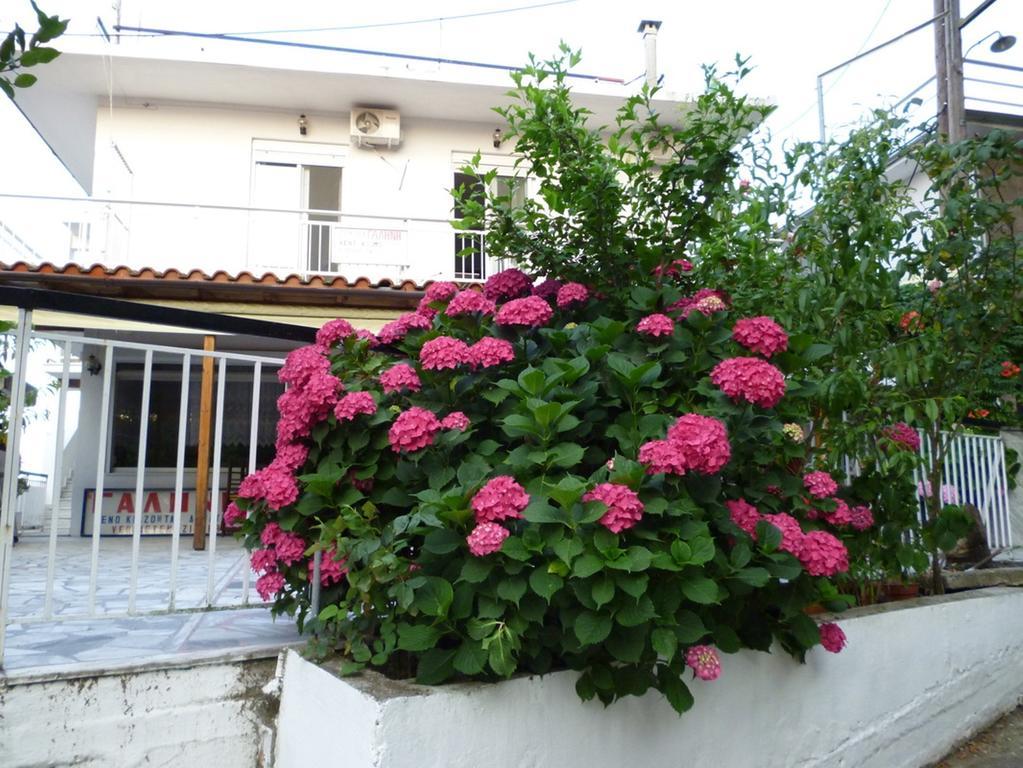 Hotel Galini Samothraki à Therma  Extérieur photo