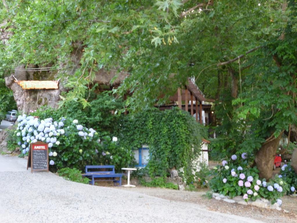 Hotel Galini Samothraki à Therma  Extérieur photo