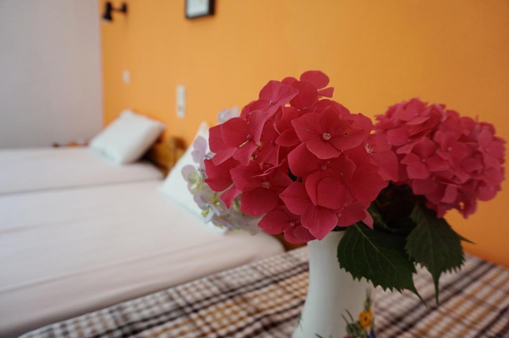 Hotel Galini Samothraki à Therma  Extérieur photo